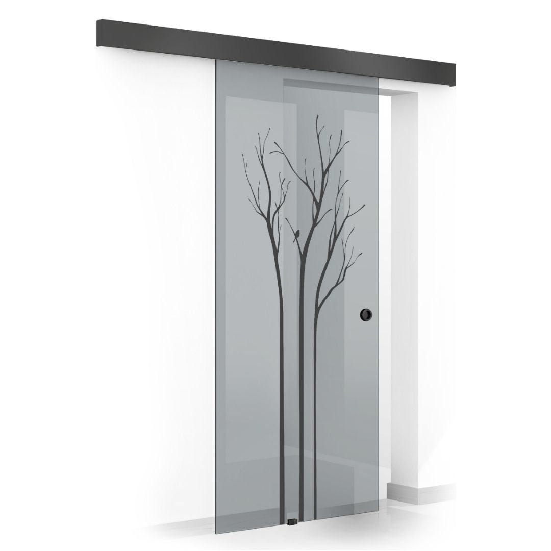 Usa sticla glisanta, Usa sticla interioara #Gri