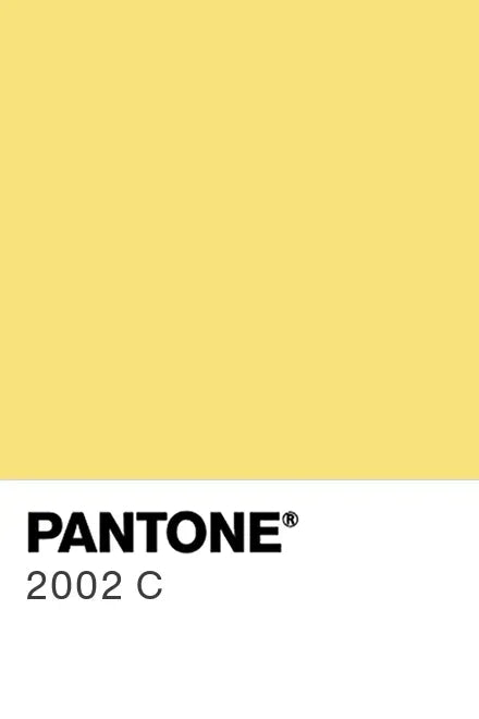 Sticla vopsita bucatarie placari #2002